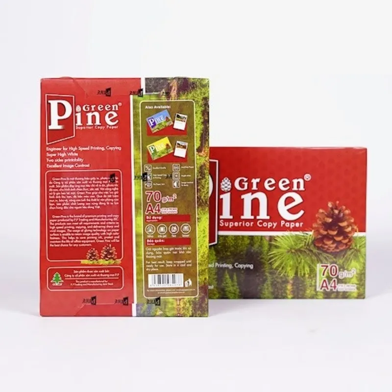 Hai gói giấy A4 Green pine định lượng 70gsm với thiết kế bao bì nổi bật hình quả thông trên nền rừng xanh.