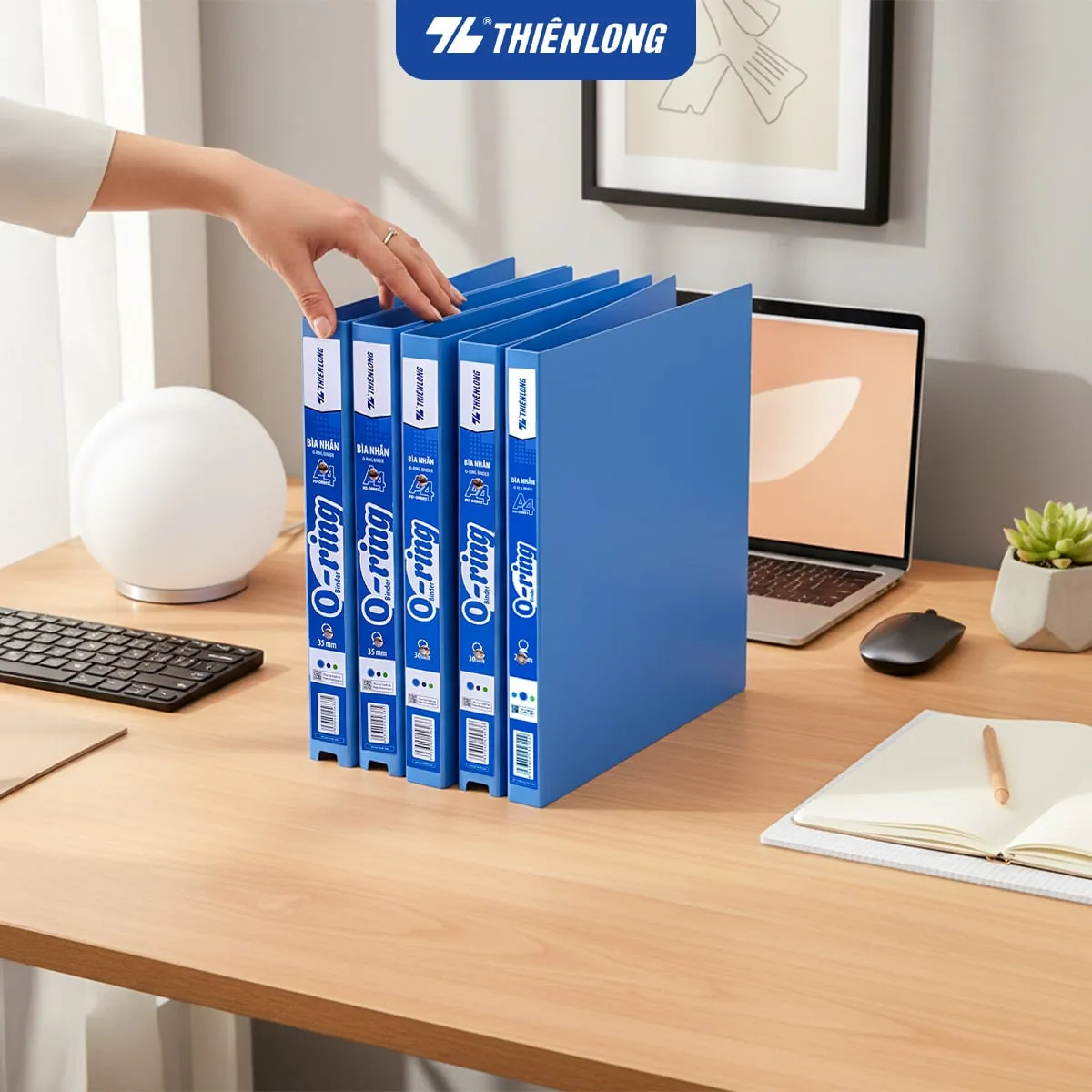 Tay người đang chạm vào hàng bìa nhẫn thiên long A4 màu xanh đặt trên bàn làm việc.