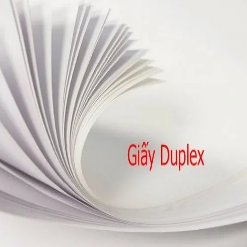 Ảnh Bìa A0 Duplex ĐL250 cho doanh nghiệp
