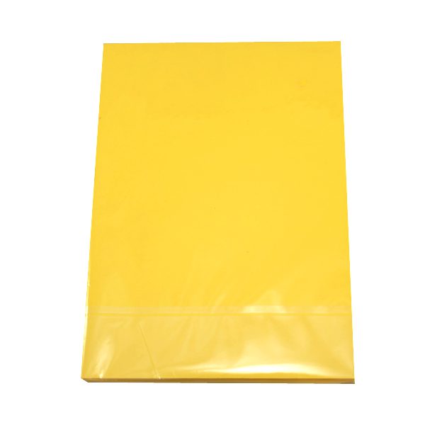Ảnh Bìa mầu A3 ngoại L2 100 t/r vàng_1