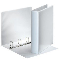 Ảnh File lồng 3 còng 10 cm SV_2