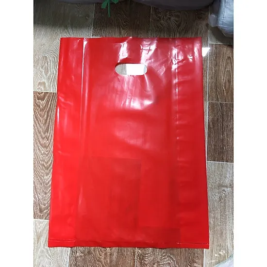 Ảnh Túi nilon đựng quà (21x29), khổ A4_3