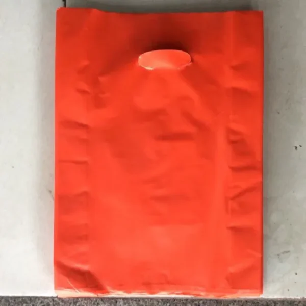 Ảnh Túi nilon đựng quà (21x29), khổ A4_4