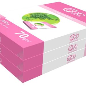 Giấy A3 Bãi Bằng ĐL70