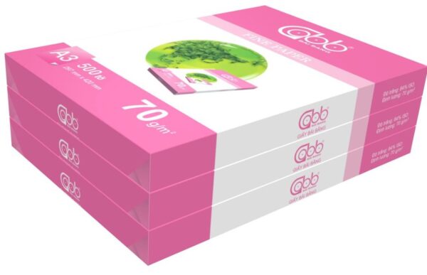 Giấy A3 Bãi Bằng ĐL70