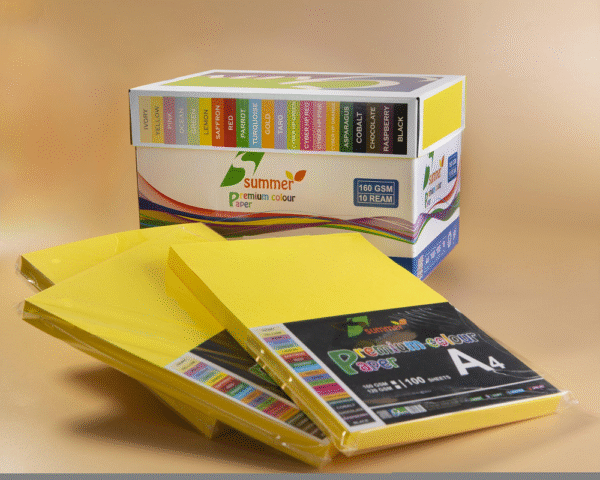 Bìa màu A4 T&T - 2